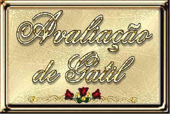 Gatil de Excel�ncia - 2� Est�gio